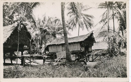 Real Photo Papua New Guinea  Photo R.V. Oldham Native Huts And - Papouasie-Nouvelle-Guinée