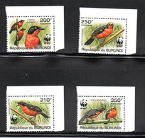 BURUNDI - 2022 - OISEAUX - BIRDS - PAPYRUS GONOLEK - - Unused Stamps