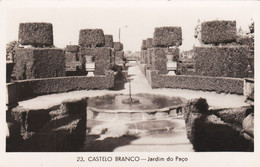 POSTCARD PORTUGAL - CASTELO BRANCO - JARDIM DO PAÇO - Castelo Branco