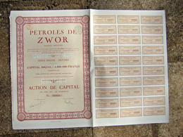 Gros Lot De 15 Vieux Papier Titre Action De 100 Francs PETROLES DE ZWOR 1924 Rare Collection Superbe état - Rusland