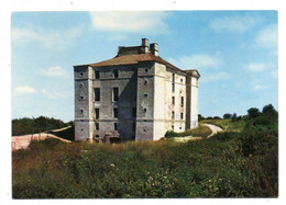 31607-LE-89-CRUZY-LE-CHATEL-Le Château De Maulnes XVIéme S. - Cruzy Le Chatel
