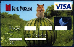RUSSIA BANK OF MOSCOW VISA CARD FAUNA ANIMALS HAMSTER WATERMELON EXP. 2010 - Credit Cards (Exp. Date Min. 10 Years)