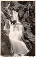 GERTELBACHSCHLUCHT - Buehlertal