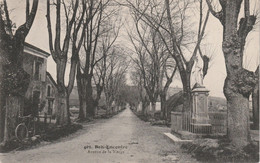 BERG -  BON ENCONTRE EN LOT ET GARONNE  AVENUE DE LA VIERGE - Bon Encontre