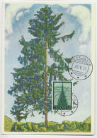 ISLAND 35 AUR CARD MAXIMUM SAPIN NOEL REYJAVIK 30.V 1958 - Maximumkaarten