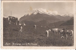 Suisse - Vaud - Leysin Un Paysage Avec Le Pic Chaussy Vache  Chevres Ziege Goat - Leysin