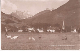 Suisse - Vaud - Bex Et Les Diablerets Chevres Ziege Goat - Bex