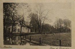 Rijsenburg (Utr.) Langs De Diederichslaan (niet Standaard Zicht) 1921 - Driebergen – Rijsenburg