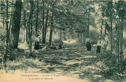 Châteaubriant * Le Bois De Tugny Et Ses Hôtes Du Dimanche - Châteaubriant