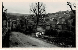 "/"48 - Lozère - Le Bleymard - Avenue Du Mont Lozère - (CPSM) - Le Bleymard