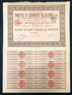 Action Tomettes & Céramiques De Salernes (Var) 17 05 1899 Cod.doc.313 - Industry