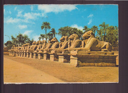 EGYPTE KARNAK AVENUE DES SPHINX - Sfinge