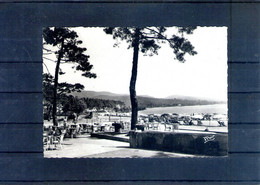 83. Cavalaire Sur Mer. La Plage. Cpsm Grand Format - Cavalaire-sur-Mer