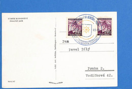 Böhmen Und Mähren 1941 Carte Postale De Benesov (G9356) - Covers & Documents