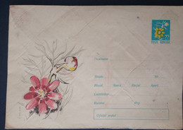 FLOWER   Envelope ROMANIA 1965 PRINTED WITH Postmark Fixed FLOWER PLANT 55 BANI, UNUSED - Covers & Documents