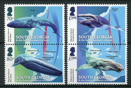 South Georgia & S Sandwich Islands 2018 MNH Marine Animals Stamps Migratory Species Whales 4v Set - Géorgie Du Sud