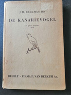 DE KANARIEVOGEL / J.H. BEEKMAN - Sachbücher