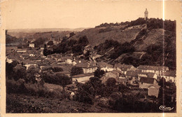 CHATONNAY (Isère) - Vue Générale - Châtonnay