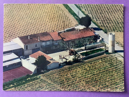 84    CPSM    CHÂTEAUNEUF DU PAPE   Domaine De La Tour Saint-Michel   Tennis…   Très Bon état - Chateauneuf Du Pape