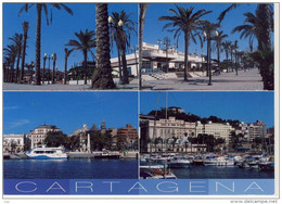 Delcampe - CARTAGENA - Mulit View  ,  Format Grande - Murcia
