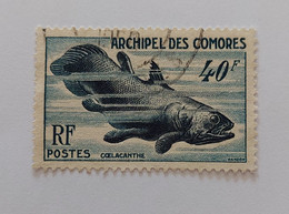 N° 13       Coelacanthe  -  Poisson - Used Stamps