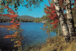 CPM - NEW YORK - Mirror Lake, Lake Placid - Adirondack