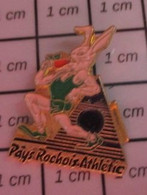 1310 Pin's Pins / Beau Et Rare / THEME : SPORTS / ATHLETISME PAYS ROCHOIS ATHLETIC LAPIN BLANC ET CAROTTE - Atletica