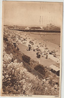 Clacton-on-sea-West Cliff And Beach   ( F.5394) - Clacton On Sea