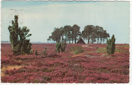 Groeten Uit Bungalowpark 'Klerkebos', Boslaan 55, Lunteren -  (Gelderland, Nederland/Holland) - 1963 - Heide - Ede