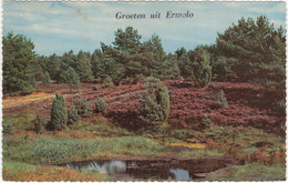 Groeten Uit Ermelo -  (Gelderland, Nederland/Holland) - 1961 - Heide - Ermelo