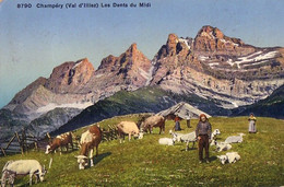 Suisse - Champéry - Les Dents Du Midi Vache Chalet Foulards Rouges Colorisee Ziegen Chevre Goat - Champéry