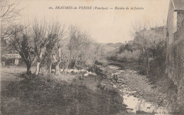 CPA 84 BEAUMES DE VENISE TROUPEAU DE MOUTONS RIVIERE LA SALETTE - Beaumes De Venise