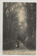 Plougonvelin (29) : Le Chemin De Le Trez Hir En 1904 (animé) PF. - Plougonvelin