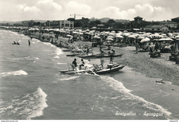 ITALIE - ITALIA - MARCHES : Senigallia - Spiaggia (Ca 1955/60) - Pedallo - Senigallia