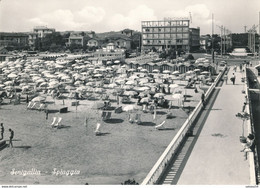 ITALIE - ITALIA - MARCHES : Senigallia - Spiaggia (Ca 1955/60) - Parasols - Senigallia