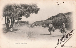 CPA Tunisie - Etude Sur Une Route - Promenade à Dos D'anes - Tunisie