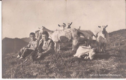 Suisse - NL - Im Speicher (Hochalpgrat.) Ziege Chevre Goat - Speicher