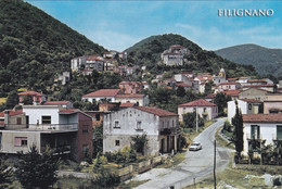 (W406) - FILIGNANO (Isernia) - Panorama - Isernia