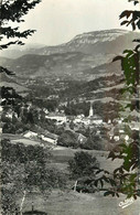 SAINT GEOIRE EN VALDAINE - Vue Générale Et Les Monts De Savoie. - Saint-Geoire-en-Valdaine