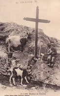 Suisse - Valais - ST Gingolph - Gardeur De Chèvres Jj3153 Ziege Chevre Goat - Saint-Gingolph