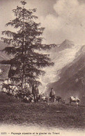 Suisse - Valais - Trient - Paysage Alpestre Et Le Glacier Chalet Ziegen Ziege Chevre Goat - Trient