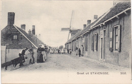 Groet Uit STAVENISSE - Tholen - Zeeland - N° 3656 - Moulin - Molen - Stavenisse