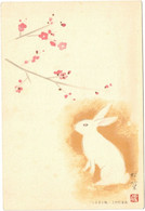 Japon - Entier Postal - Lapin - Bunny - Postales