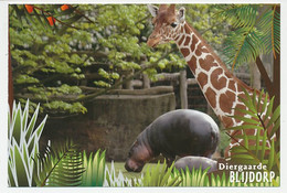 Postal Stationery Netherlands 2007 Hippopotamus - Giraffe - Zoo Rotterdam - Sin Clasificación