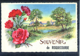 81. Souvenir De Roquecourbe - Roquecourbe