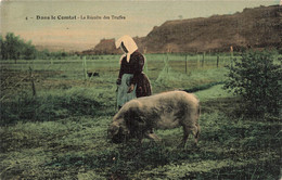 CPA Dans Le Comtat - La Recolte Des Truffes - Cochon Truffier - Sonstige & Ohne Zuordnung