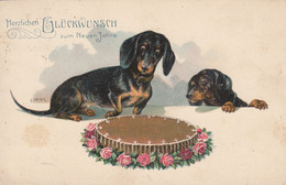 AK - Herzlichen Glückwunsch Zum Neuen Jahre - DACKELN Bewachen Die Torte 1912 - New Year