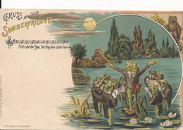 Suisse Carte Fantaisie Grenouille, Hibou Et Lune - Gruss Aus Der Sommerfrische - édit. Winterthur - Risch-Rotkreuz