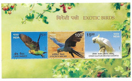 INDIA 2016 EXOTIC BIRDS, PARROT, MACAW,COCKATOO....MS MNH - Ongebruikt