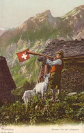 Suisse - Champéry - Joueur De Cor Alpestre Cpn Colorisee Chevres Ziegen Goat - Champéry